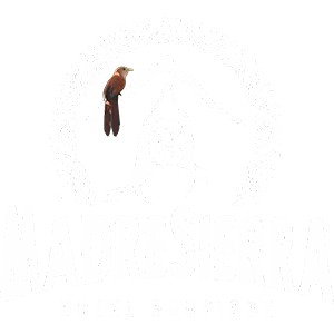 Hotel MadreSierra Tayrona Park