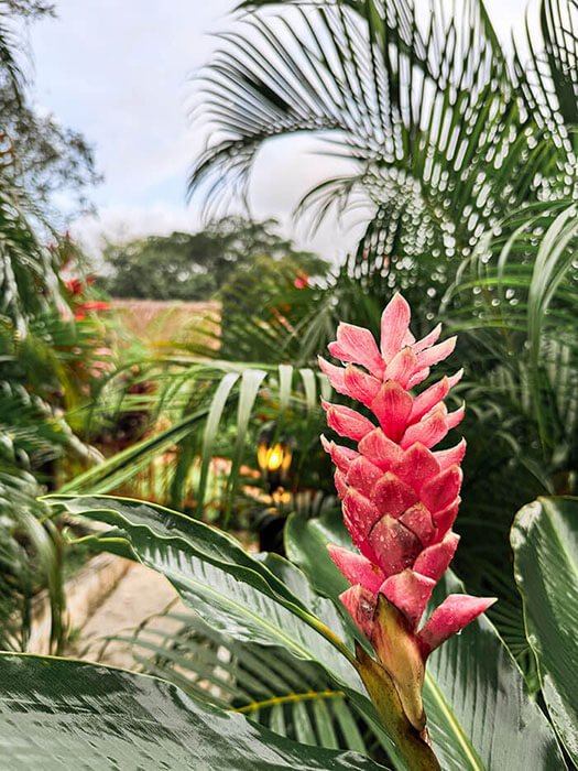 Santa Marta restaurant